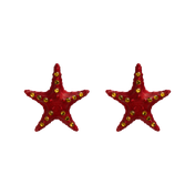 TOPOS ESTRELLA MEDIANO BRILLI