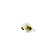 ANILLO CALA