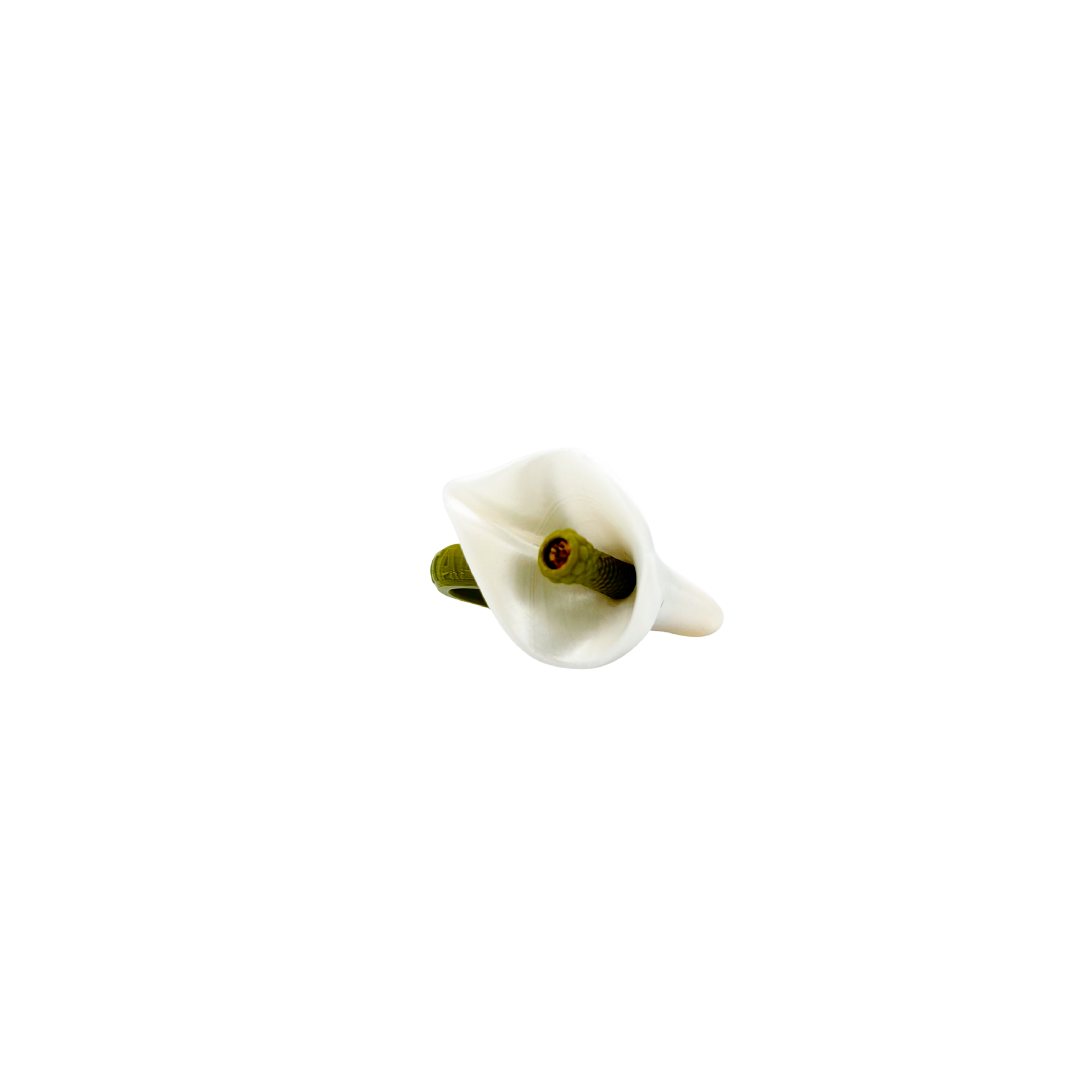 ANILLO CALA