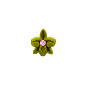 EARCUFF CATTLEYA
