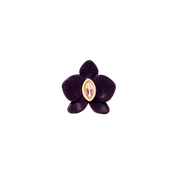EARCUFF ORQUÍDEA