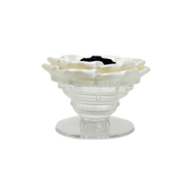 ANÉMONA GRIP