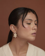 ARETES MINI EXTRAFLORAL